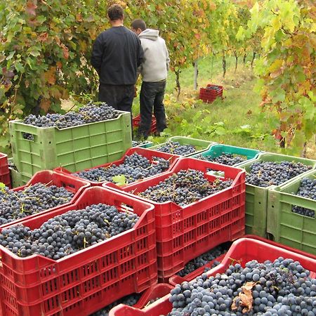 Podere Riosto Cantina&Agriturismo 피아노로 외부 사진