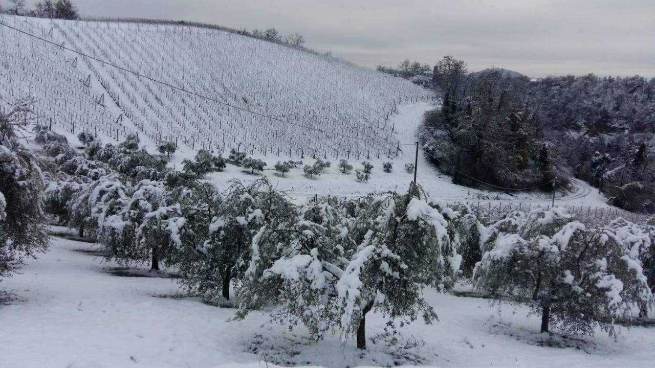 Podere Riosto Cantina&Agriturismo 피아노로 외부 사진