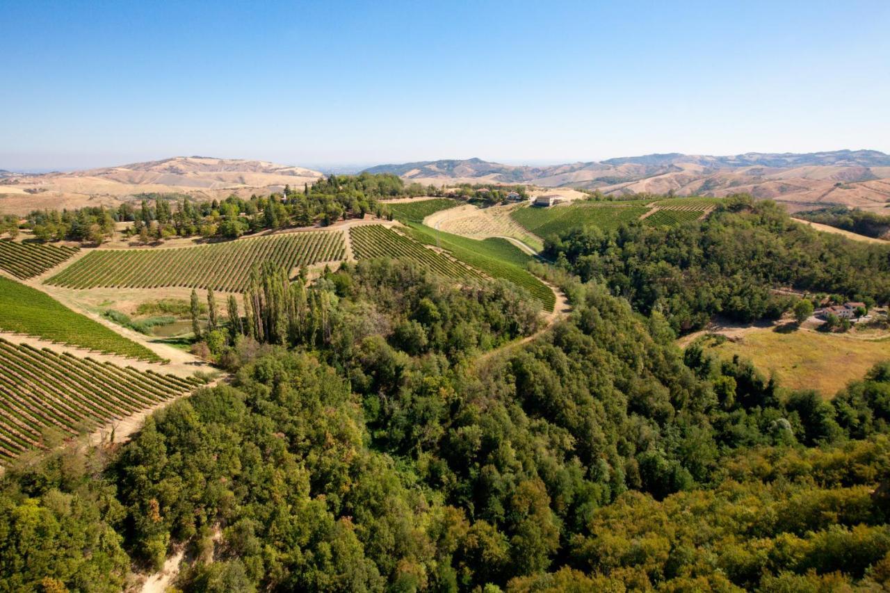 Podere Riosto Cantina&Agriturismo 피아노로 외부 사진