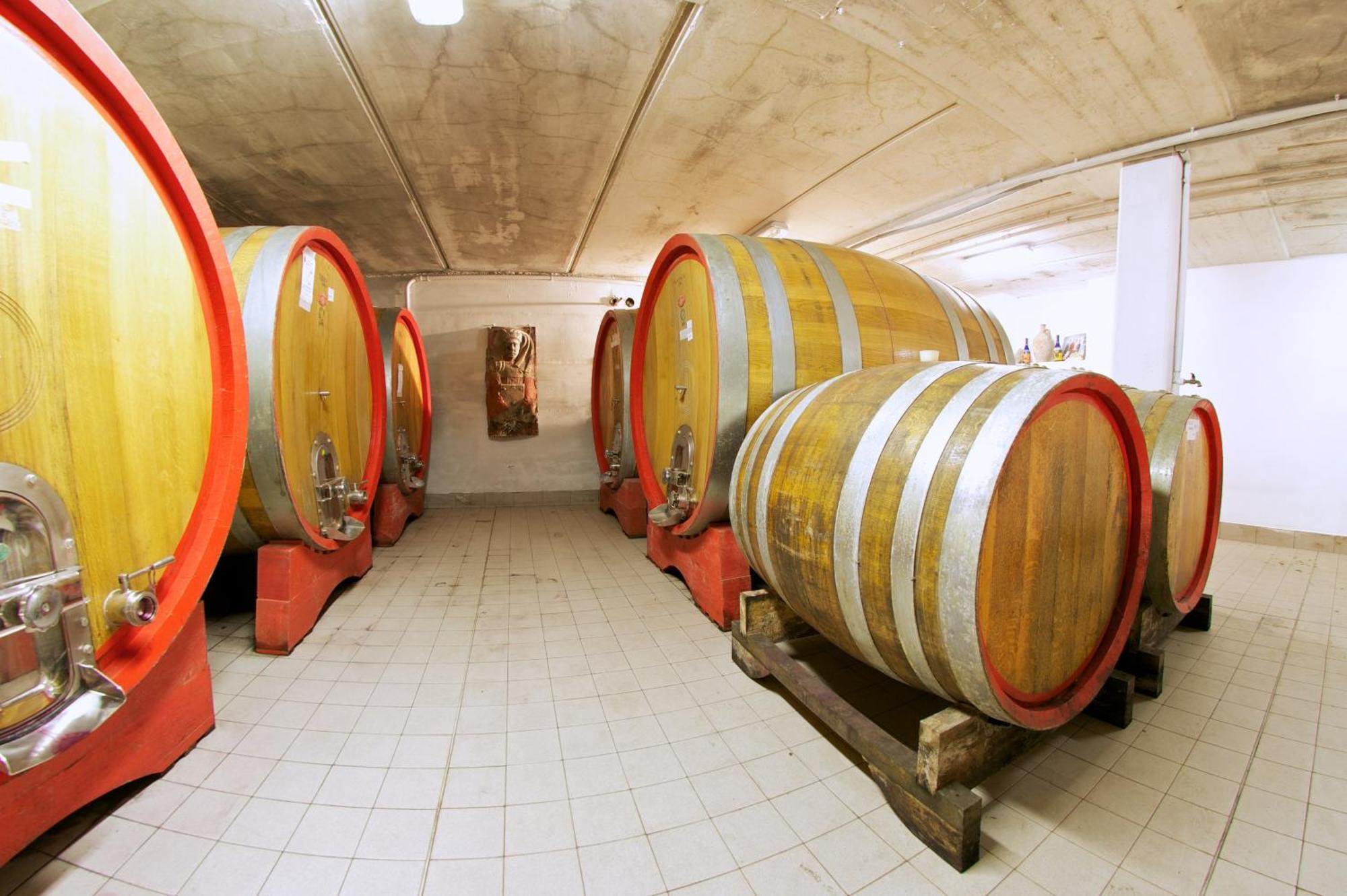 Podere Riosto Cantina&Agriturismo 피아노로 외부 사진