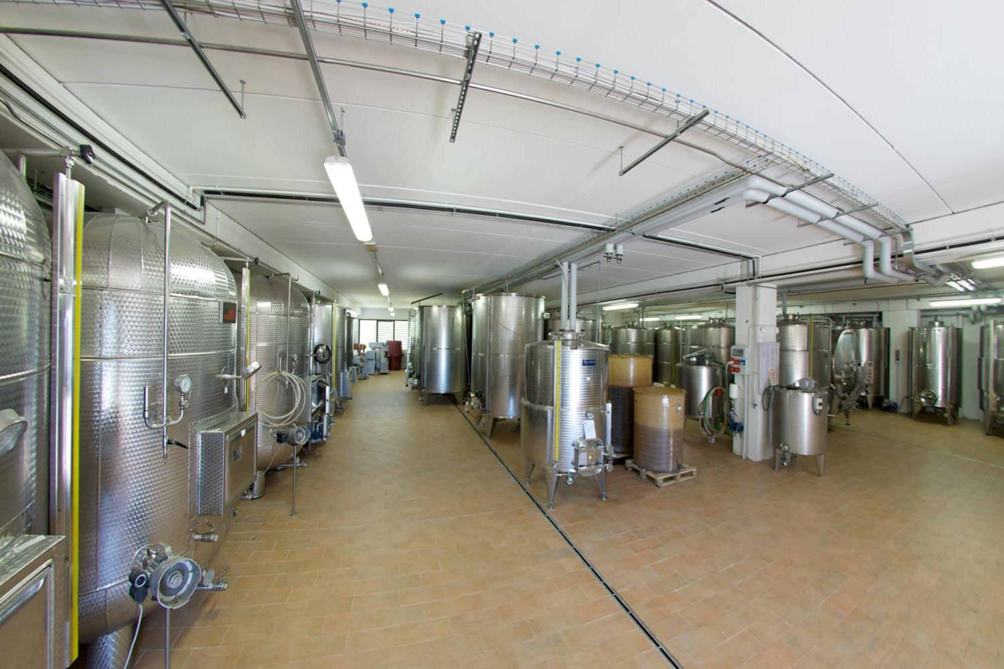 Podere Riosto Cantina&Agriturismo 피아노로 외부 사진