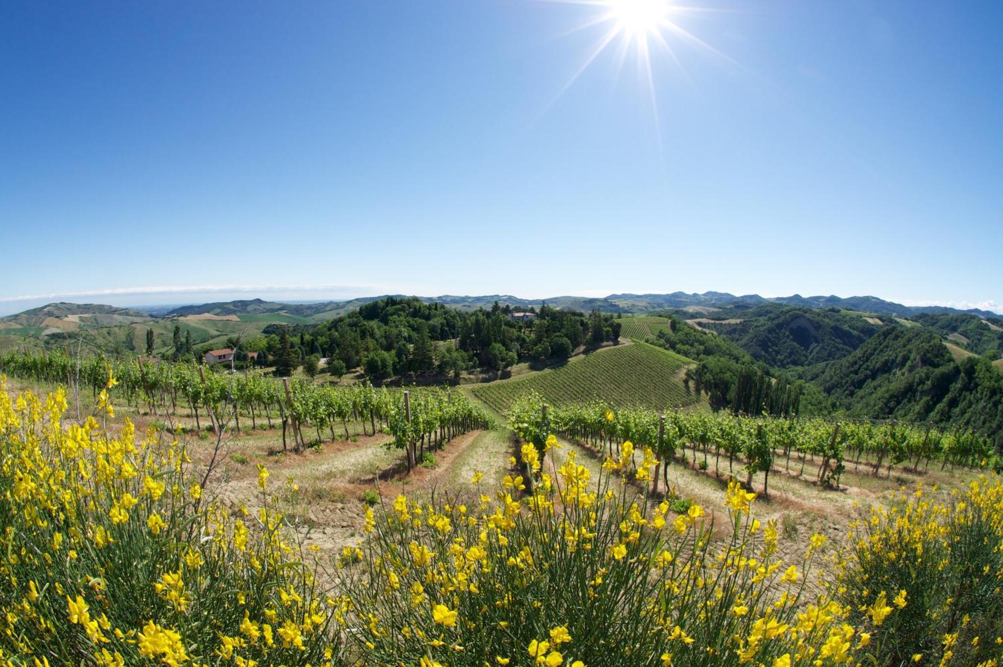 Podere Riosto Cantina&Agriturismo 피아노로 외부 사진
