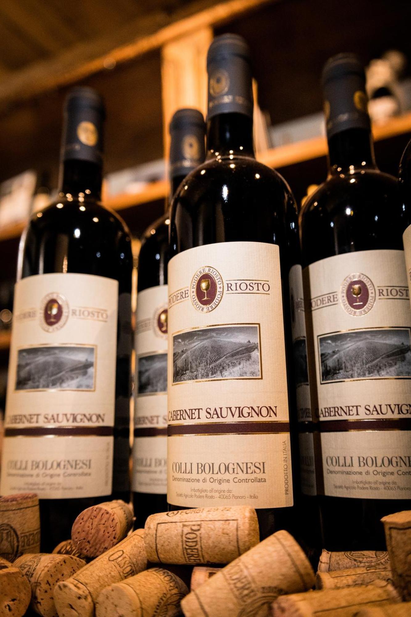 Podere Riosto Cantina&Agriturismo 피아노로 외부 사진