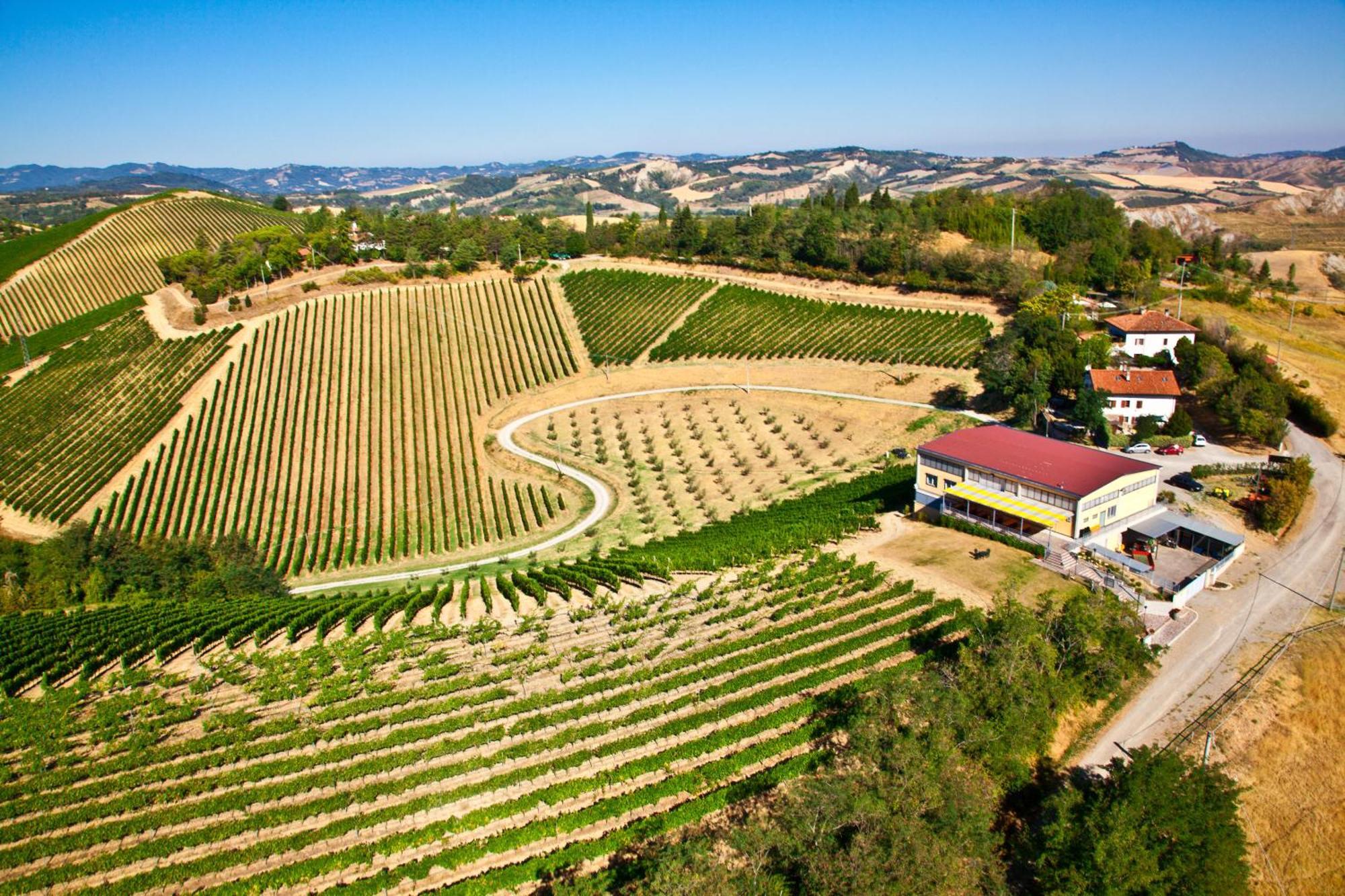 Podere Riosto Cantina&Agriturismo 피아노로 외부 사진